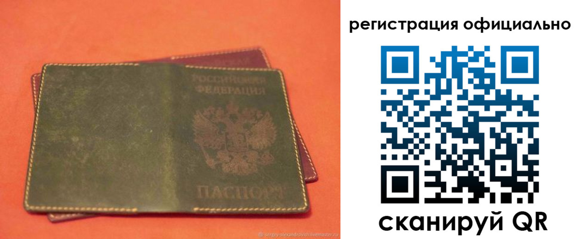 прописка 2025 в Камышине